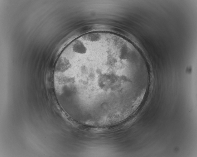 X0000111241145200907231522