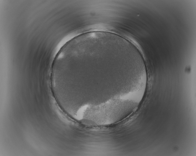 X0000111241146200907231522