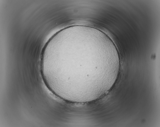 X0000111241147200907231522