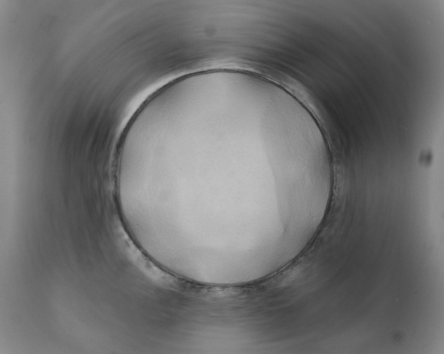 X0000111241148200907231522