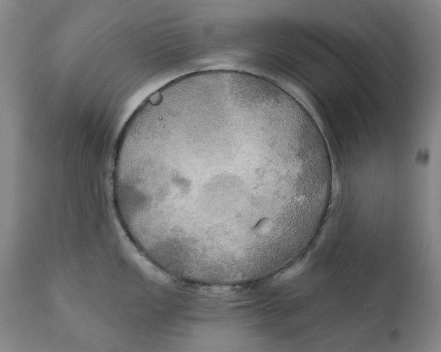 X0000111241149200907231522