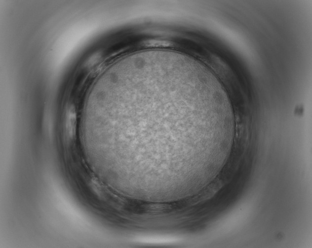 X0000111241151200907231522