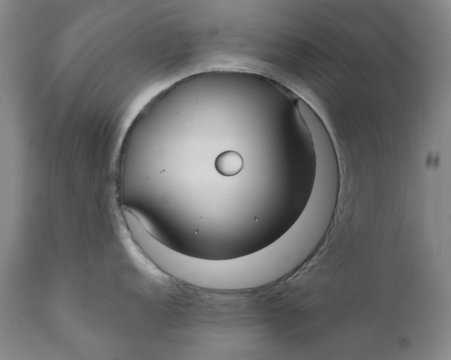 X0000111241152200907231522