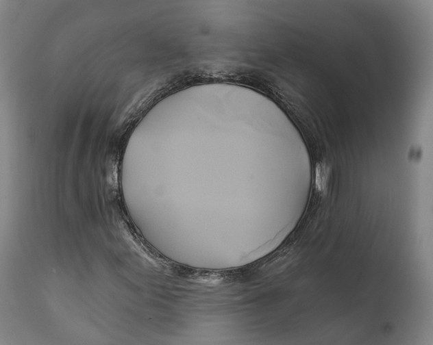 X0000111241155200907231521