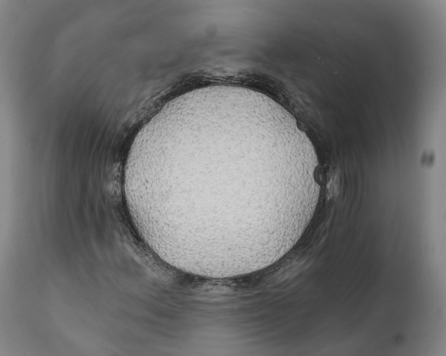 X0000111241156200907231521