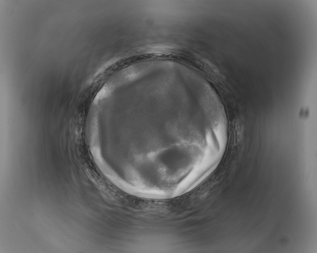 X0000111241158200907231521