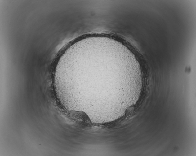 X0000111241160200907231521