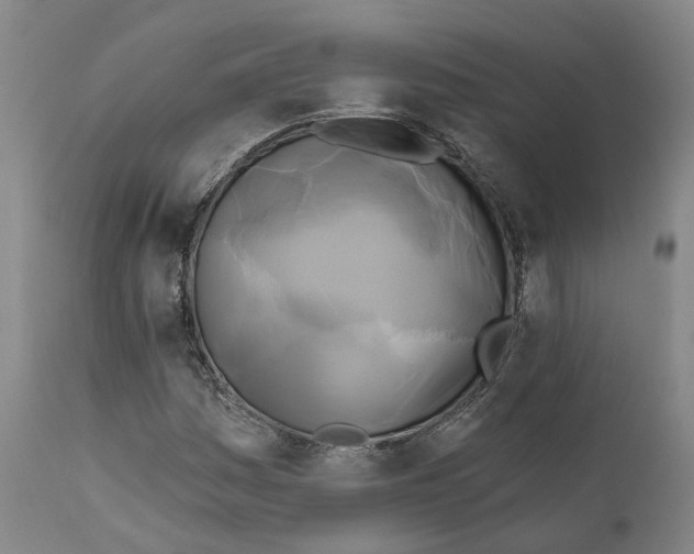 X0000111241161200907231521