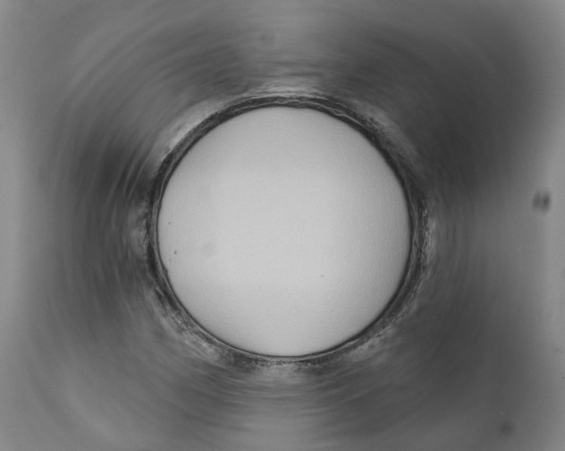 X0000111241162200907231521