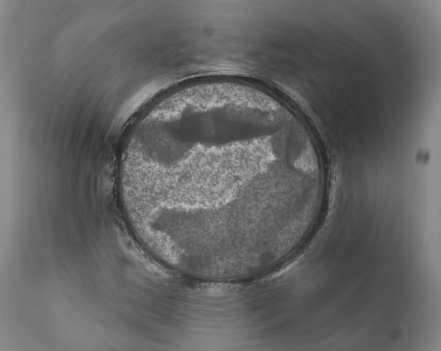 X0000111241163200907231521