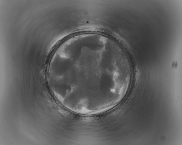 X0000111241166200907231521