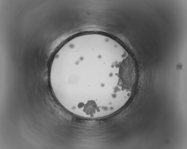 X0000111241167200907231521