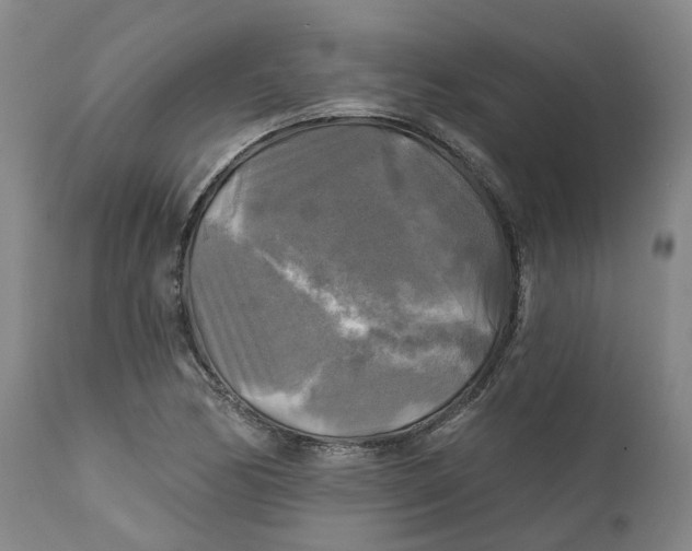 X0000111241170200907231521