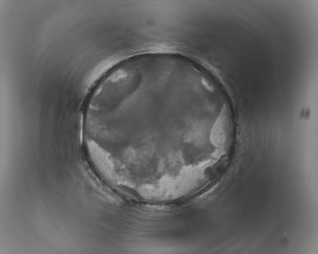 X0000111241171200907231521