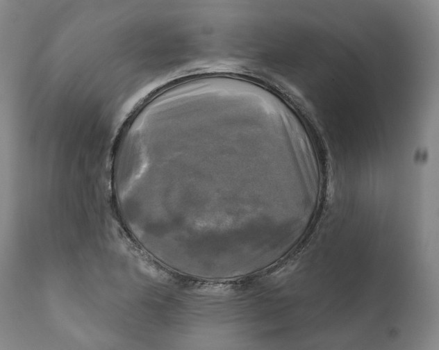 X0000111241174200907231521