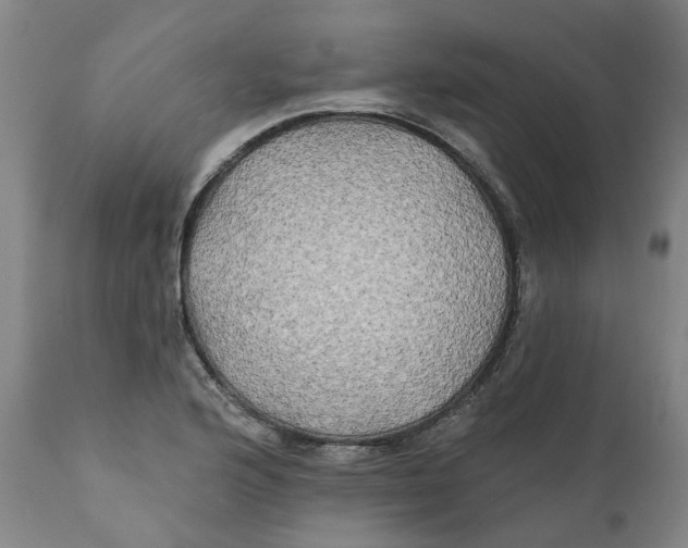 X0000111241176200907231521