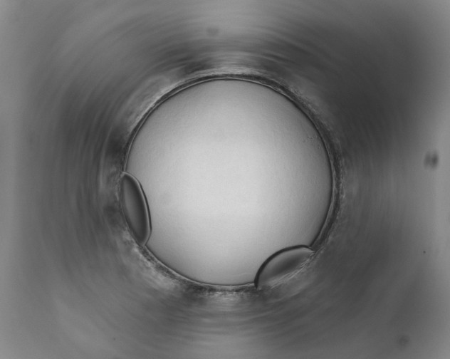 X0000111241177200907231521