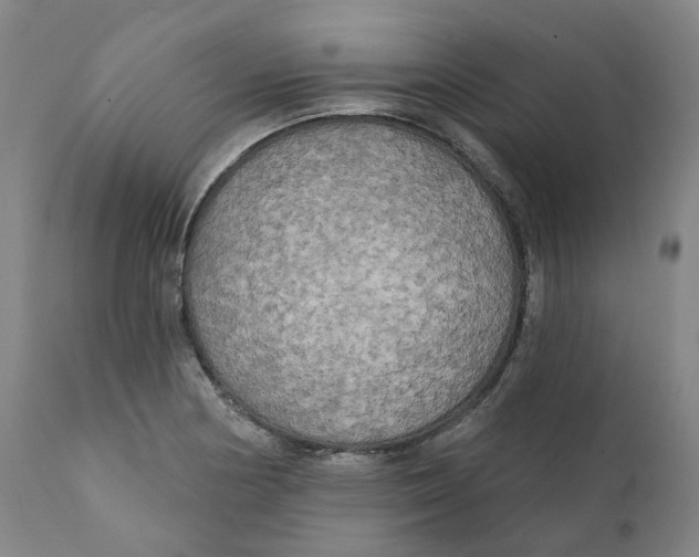 X0000111241178200907231521