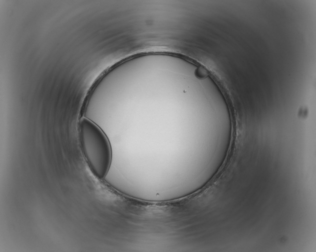 X0000111241181200907231521