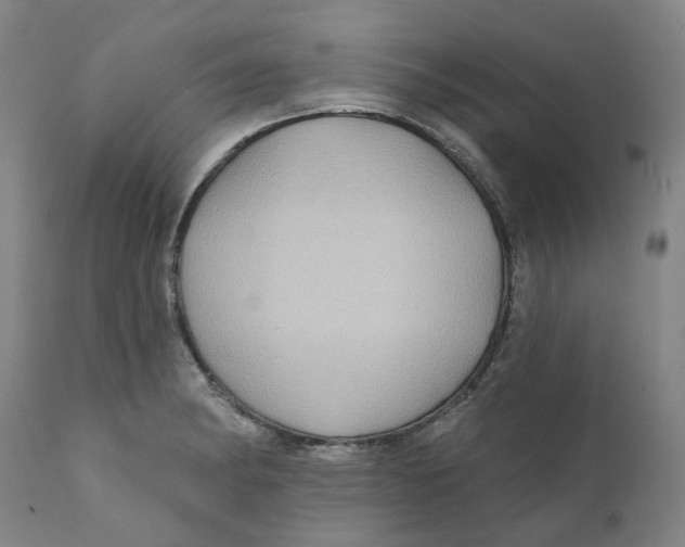 X0000111241182200907231521