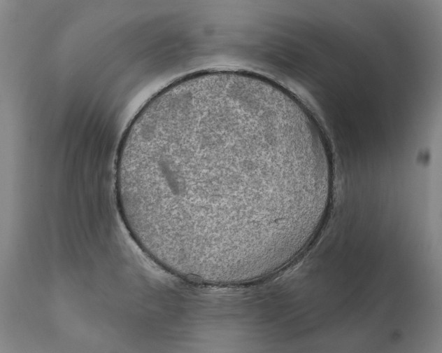 X0000111241183200907231521