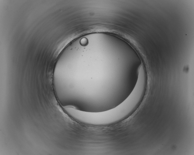 X0000111241185200907231521