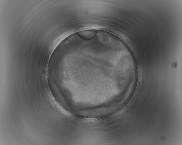 X0000111241186200907231521