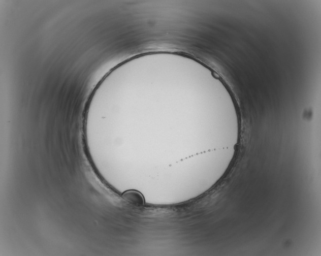 X0000111241187200907231521