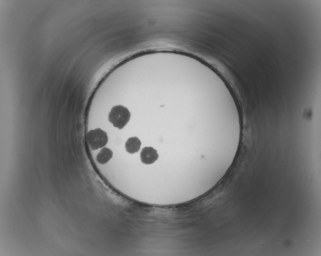 X0000111241191200907231521