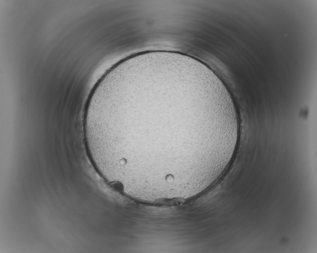 X0000111241192200907231521