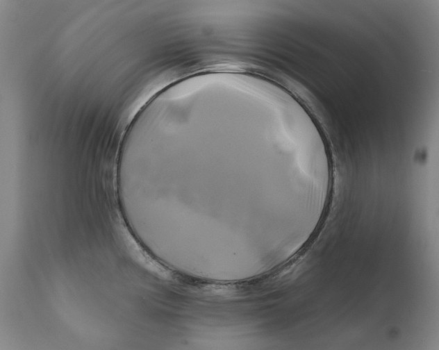 X0000111241194200907231521