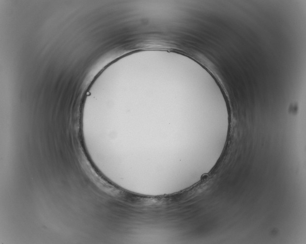 X0000111241195200907231521