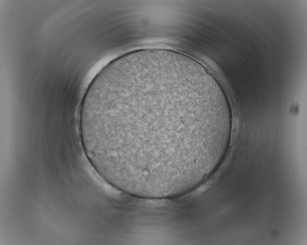 X0000111241196200907231521