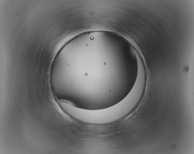 X0000111241197200907231521