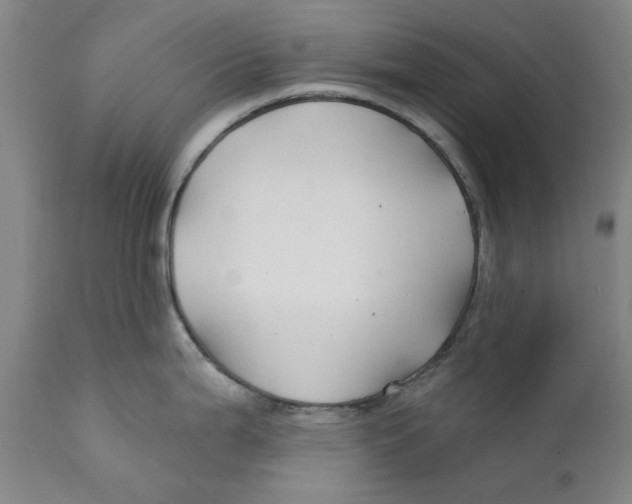 X0000111241199200907231521