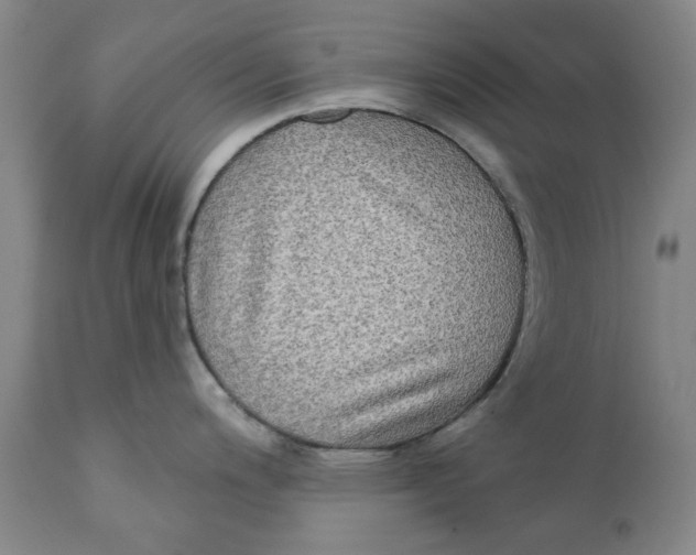 X0000111241200200907231521