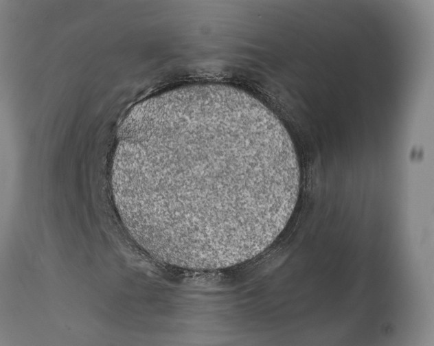 X0000111241201200907231520