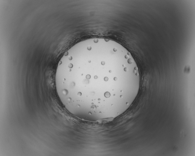 X0000111241202200907231520