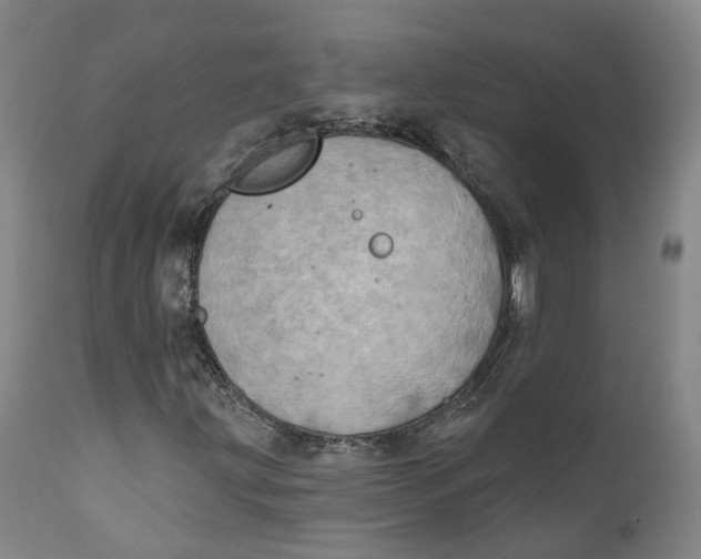 X0000111241203200907231520