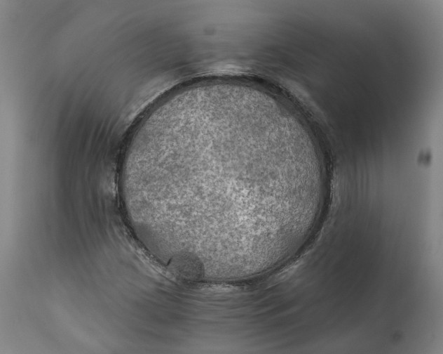 X0000111241209200907231520