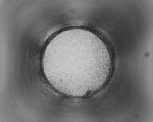 X0000111241210200907231520