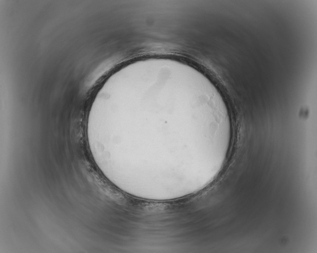 X0000111241211200907231520