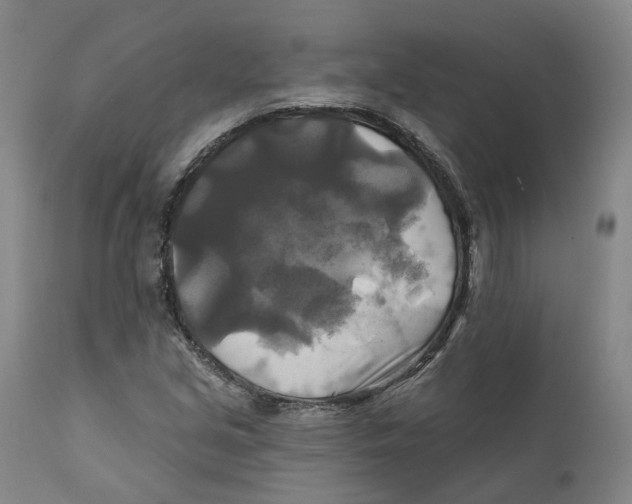 X0000111241213200907231520