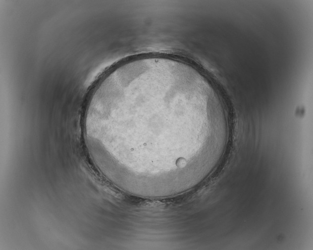 X0000111241214200907231520