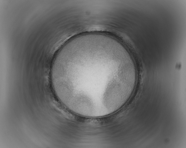 X0000111241217200907231520