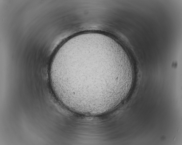 X0000111241218200907231520