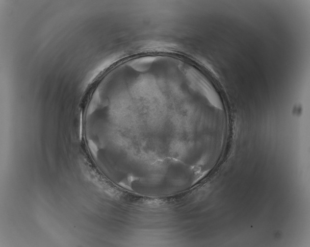 X0000111241219200907231520