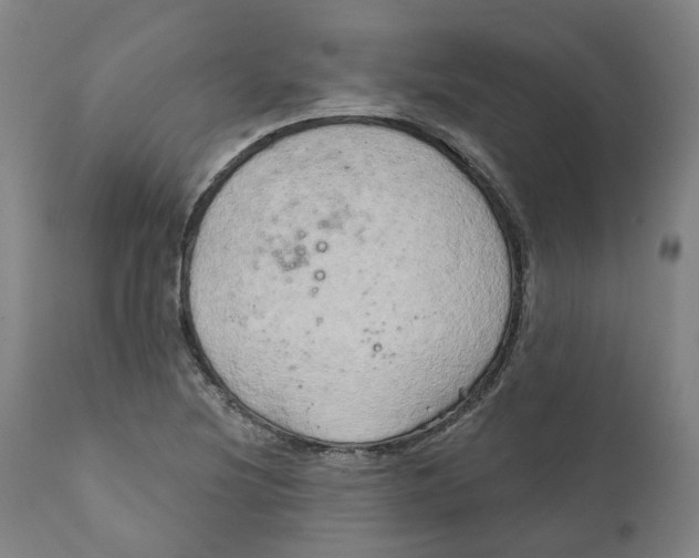 X0000111241220200907231520