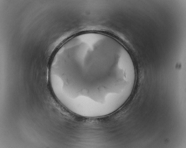 X0000111241221200907231520