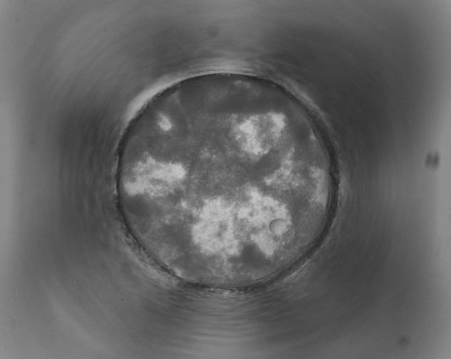 X0000111241222200907231520